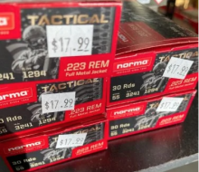 NORMA .223 55 GR FMJ 30 RDS