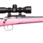 Pink Crickett with scope 1
