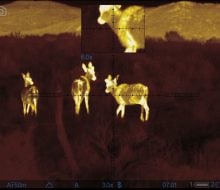 Deer, can't shoot those with thermal