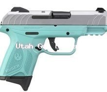 Ruger Security 9 9MM Robin Egg SS Slide Finish 10+1 2 Mags 3.42inch Barrel