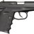 SCCY CPX-1-CB 1