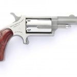 NAA Mini 22lr 22mag eagle 1