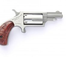 NAA Mini 22lr 22mag eagle 1