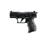p22q