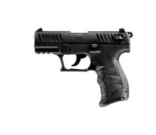 p22q