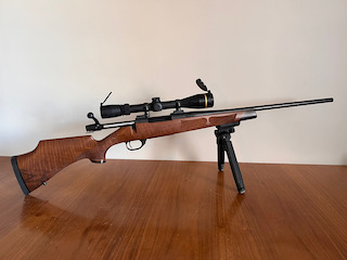 IMG_6528 (1) IMG_6528 (1)