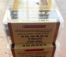Barnes ML