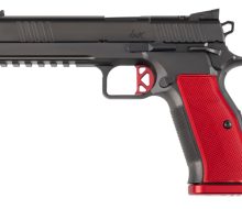 dan wesson dwx
