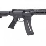 S&W 15-22 Pistol with brace
