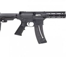 S&W 15-22 Pistol with brace