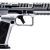 Canik Rival-S chrome 1