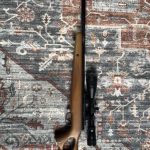 airgun0