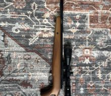 airgun0