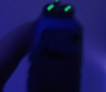 20251117_153938