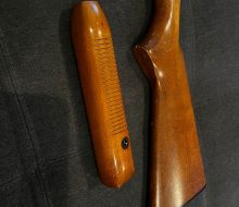 IMG_3782