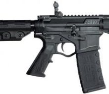 Alpha Maxx pistol 1