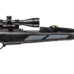 gamo