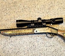 1 gun