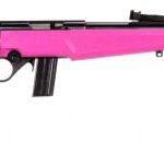 RB 22 pink 1