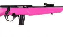RB 22 pink 1