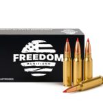 308 ammo