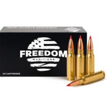 308 ammo