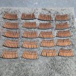 1000006134