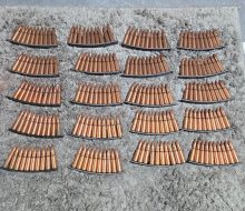 1000006134