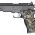 1911 TRP Hydra 1 1911 TRP Hydra 1