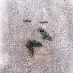 IMG_8141
