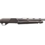 IMG_5486
