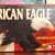 American Eagle .22-3 American Eagle .22-3