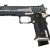 Sig P211 Exuinox 9mm 1 Sig P211 Exuinox 9mm 1