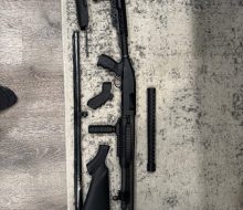 IMG_3356