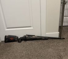 gun 4