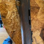 wards western field 22lr 1