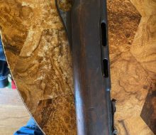wards western field 22lr 1