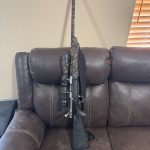 22-250 #1