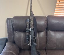 22-250 #1