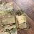 SEALS Plate Carrier