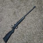 Crickett