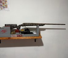 IMG_1354
