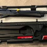 Gun
