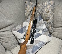 IMG_5501