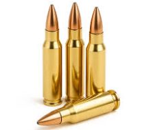 223 ammo