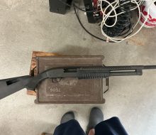 shotgun1