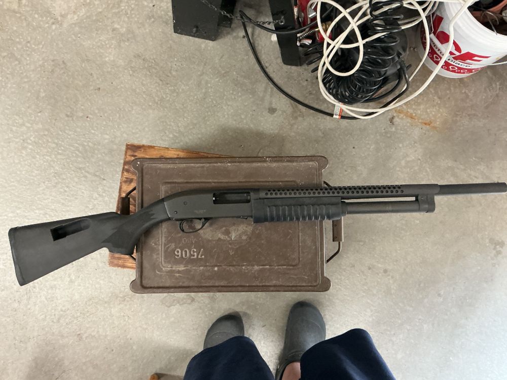 shotgun1 shotgun1