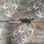 22 Rim Fire