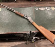 IMG-20260509-WA0058