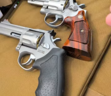 taurus